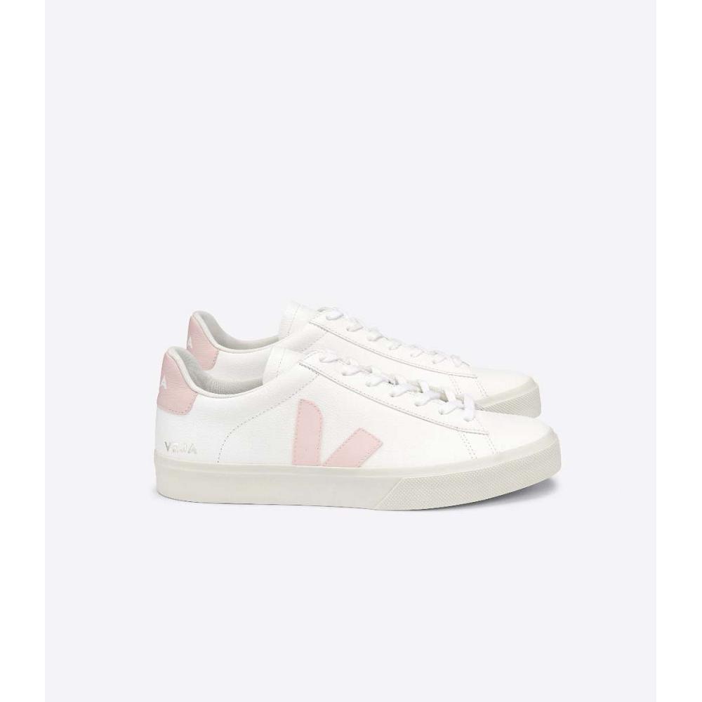 Low Tops Sneakers γυναικεια Veja CAMPO CHROMEFREE White/Pink | GR 463KOR